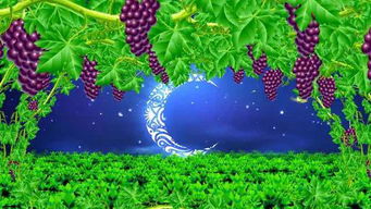 葡萄浏览器 一款备受争议的移动端浏览器