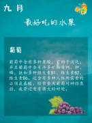 不让健康再“裸奔”——试看葡萄浏览器如何守住你那道防线